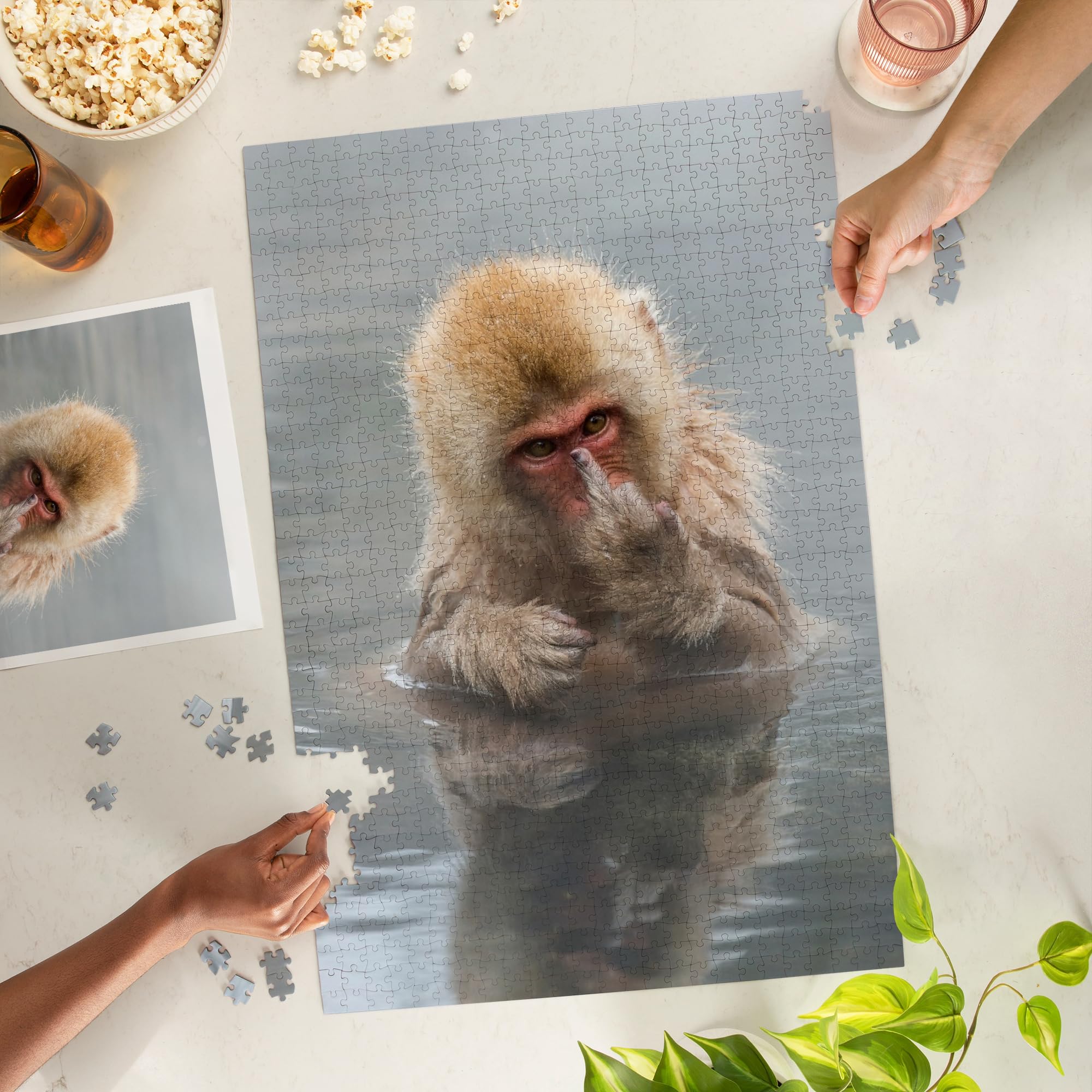Amazon.com: Lantern Press Puzzle Japanese Macaque Monkey Showing